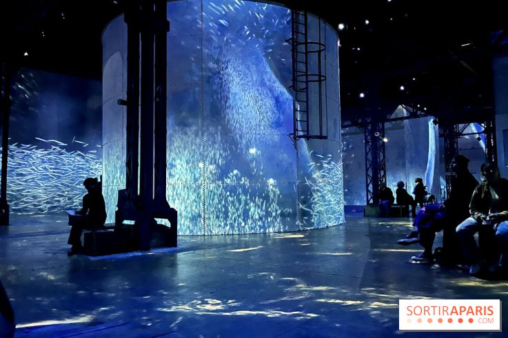 Océans, l'Odyssée Immersive à l'Atelier des Lumières - IMG 6170