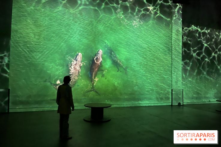 Océans, l'Odyssée Immersive à l'Atelier des Lumières - IMG 6198