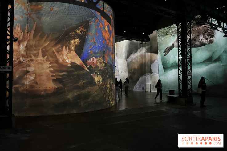 Océans, l'Odyssée Immersive à l'Atelier des Lumières