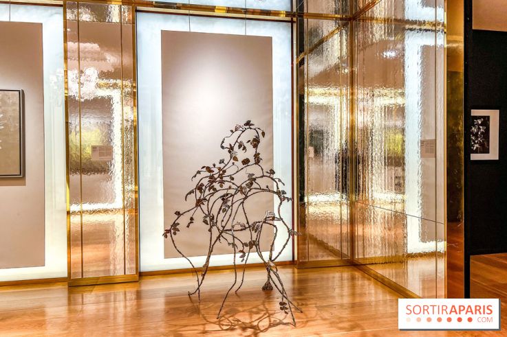 Les Fleurs du Mal, l'exposition gratuite sur les fleurs à la Maison Guerlain - Champs-Élysées