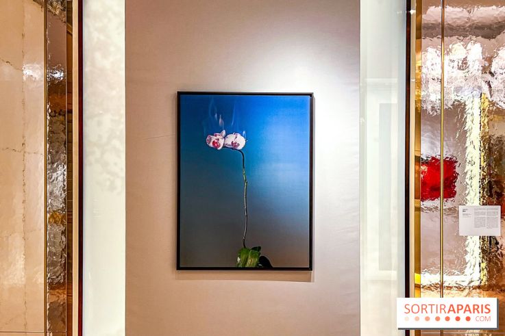 Les Fleurs du Mal, l'exposition gratuite sur les fleurs à la Maison Guerlain - Champs-Élysées
