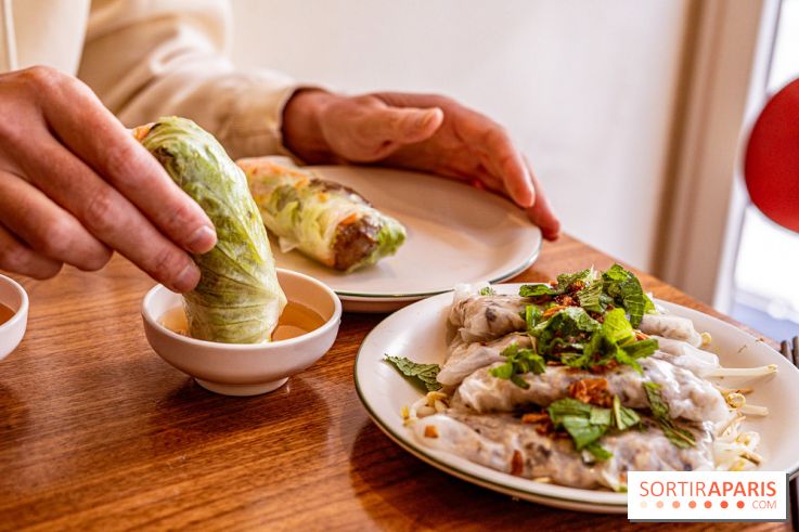 Saigon d'Antan - restaurant vietnamien - rouleaux de printemps