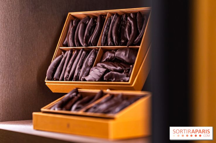 Louis Fouquet Montaigne - Chocolatier - confiseur