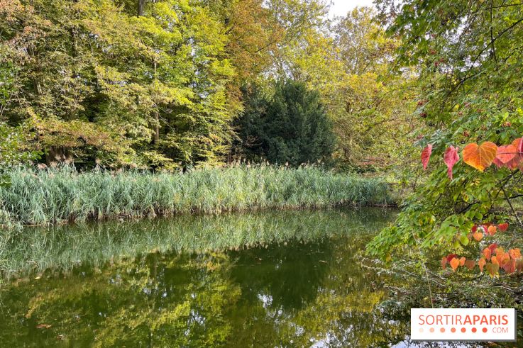 Le parc de l'Île Verte à Chatenay-Malabry - nos photos - image00548