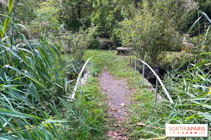 Le parc de l'Île Verte à Chatenay-Malabry - nos photos - image00519