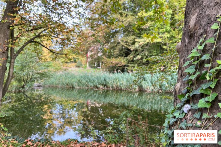 Le parc de l'Île Verte à Chatenay-Malabry - nos photos - image00514