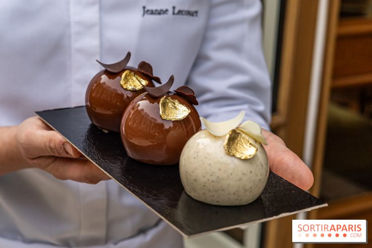 Bûche de Noël du Saint James 2023 par Jeanne Lacourt
