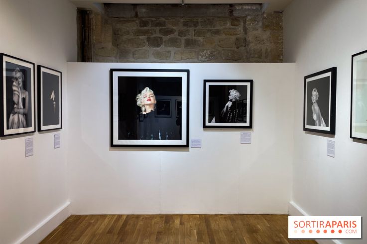 Expérience Monroe - IMG 2868