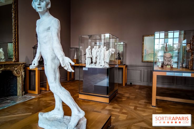 Le Musée Rodin, ses collections et son jardin