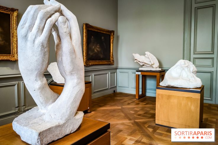 Le Musée Rodin, ses collections et son jardin - IMG20231016103429