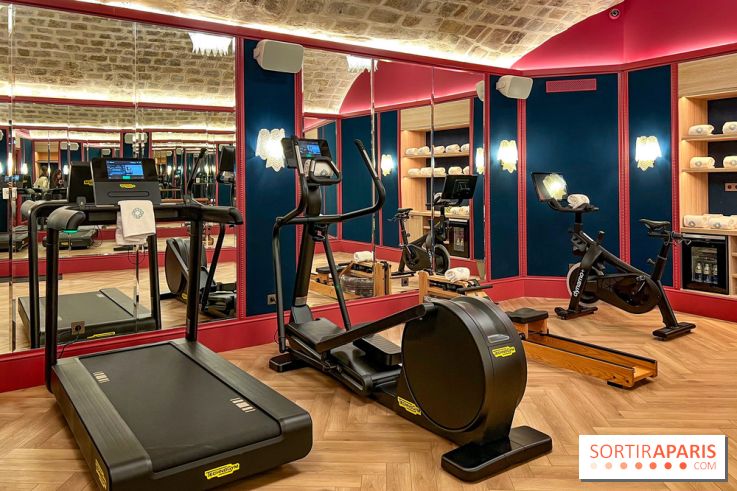 Le Grand Mazarin, l'hôtel inspiré des salons littéraires d'antan, dans le Marais - image00040