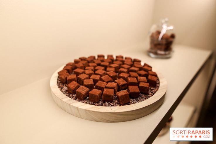 Bûche et chocolats de Noël 2023 signés Alléno & Rivoire - IMG 0977