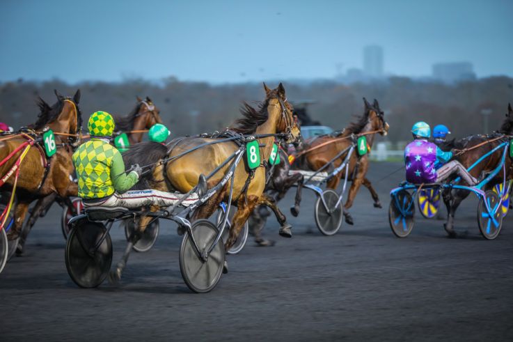 Les dimaches plaisir à Paris-Vincennes : les sorties gratuites pendant l'hiver - BVDV 20231210173018 5051