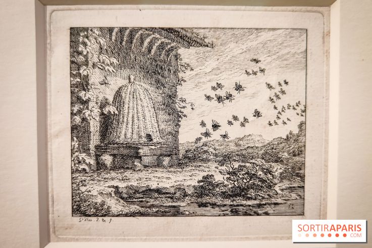 Claude Gillot : le dessinateur du Grand siècle au cœur d'une exposition au musée du Louvre - IMG20231107105854