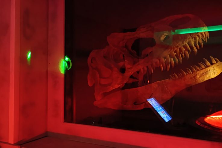 Campagne #31450 - IMG 20250212 152531