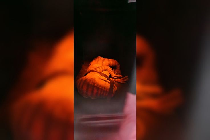 Campagne #31450 - IMG 20250212 152911