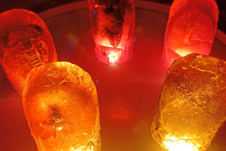 Campagne #31450 - IMG 20250212 153242