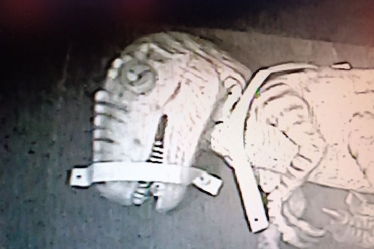 Campagne #31450 - IMG 20250212 153257