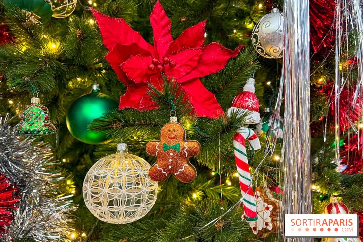Les vitrines et décors de Noël 2023 du Bon Marché Rive Gauche