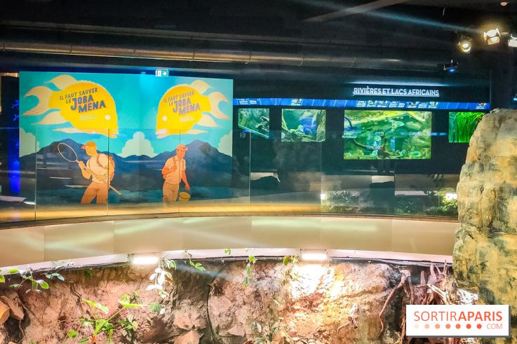 Enquête à Madagascar : nos photos de l'exposition immersive ultra ludique de l'Aquarium tropical - IMG20231113105545