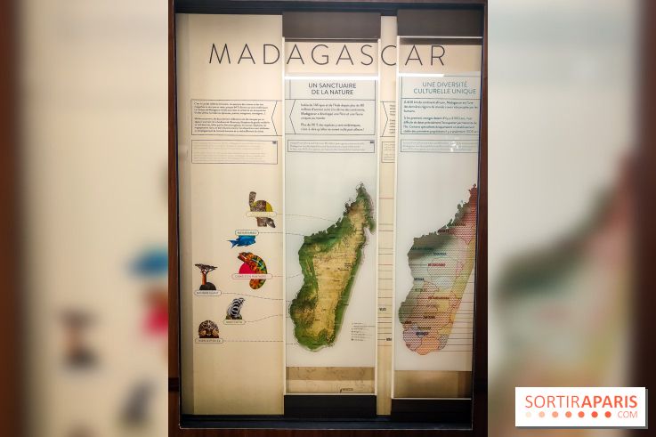 Enquête à Madagascar : nos photos de l'exposition immersive ultra ludique de l'Aquarium tropical - IMG20231113103723