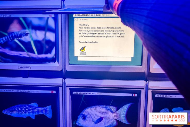 Enquête à Madagascar : nos photos de l'exposition immersive ultra ludique de l'Aquarium tropical - IMG20231113102407