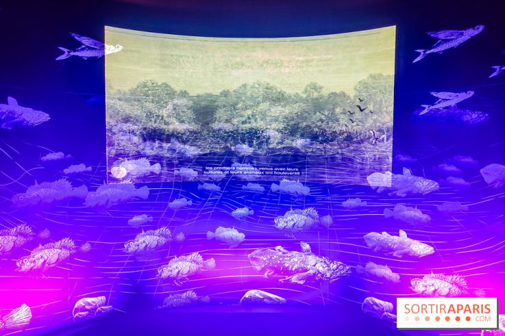 Enquête à Madagascar : nos photos de l'exposition immersive ultra ludique de l'Aquarium tropical - IMG20231113102139