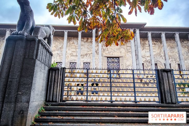 Enquête à Madagascar : nos photos de l'exposition immersive ultra ludique de l'Aquarium tropical - IMG20231113095340