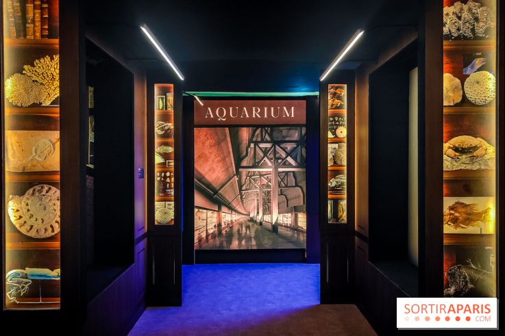 Enquête à Madagascar : nos photos de l'exposition immersive ultra ludique de l'Aquarium tropical - IMG20231113102316