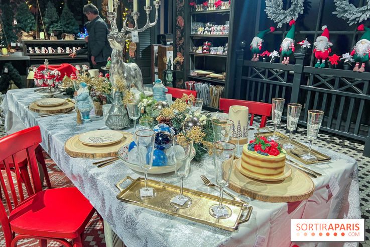 Un Noël Magique à So Ouest - IMG 8348