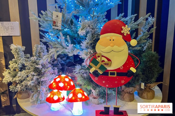 Un Noël Magique à So Ouest