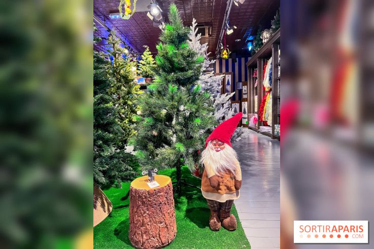 Un Noël Magique à So Ouest