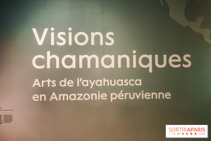Visions chamaniques : l'exposition du musée du Quai Branly qui nous transporte en Amazonie - IMG20231113145730
