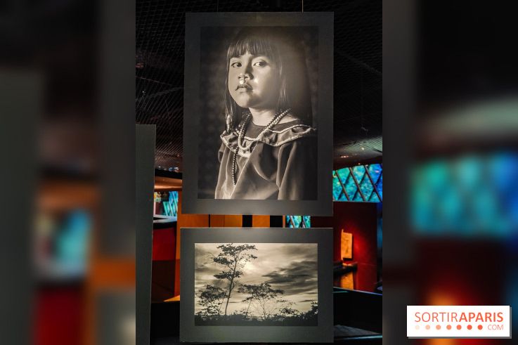 Visions chamaniques : l'exposition du musée du Quai Branly qui nous transporte en Amazonie - IMG20231113145947