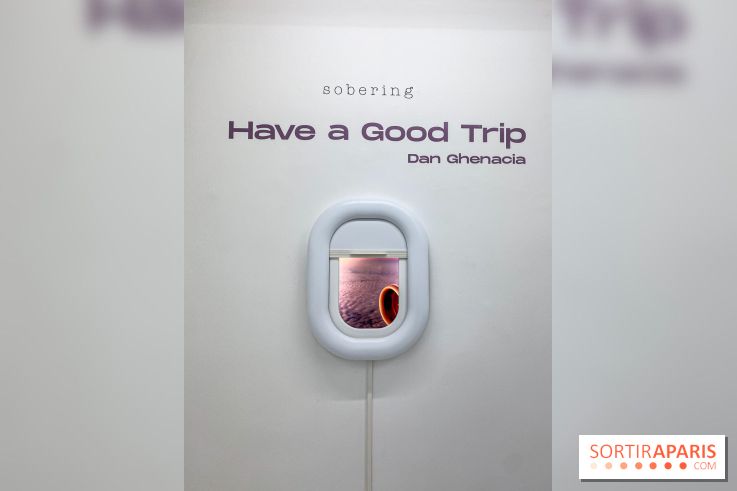 Exposition immersive Have a Good Trip Dan Ghenacia Sobering Galerie - IMG 1937