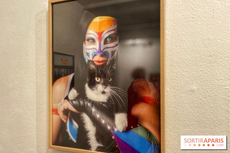 Lucha Libre à l'Institut culturel du Mexique