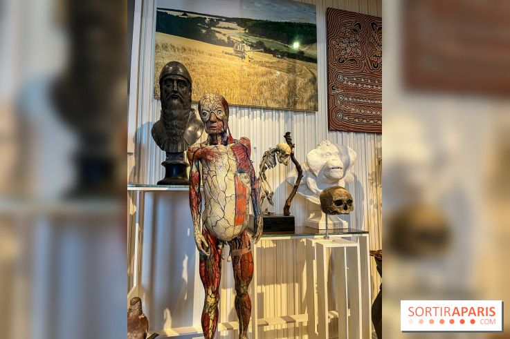 Le musée de l'Homme - collections permanentes - image00066