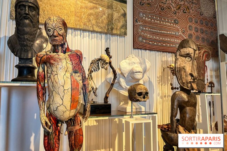 Le musée de l'Homme - collections permanentes - image00067