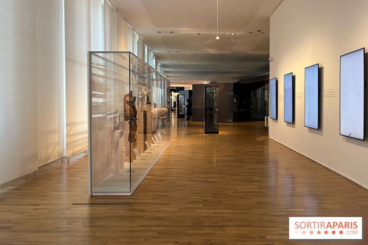 Le musée de l'Homme - collections permanentes - image00071