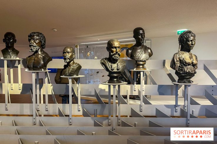 Le musée de l'Homme - collections permanentes