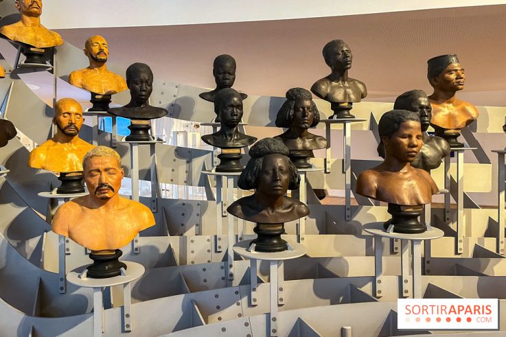 Le musée de l'Homme - collections permanentes