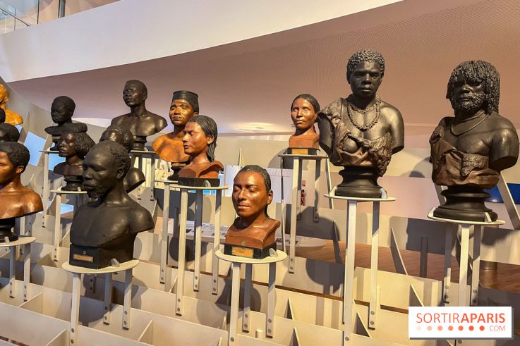 Le musée de l'Homme - collections permanentes - image00055