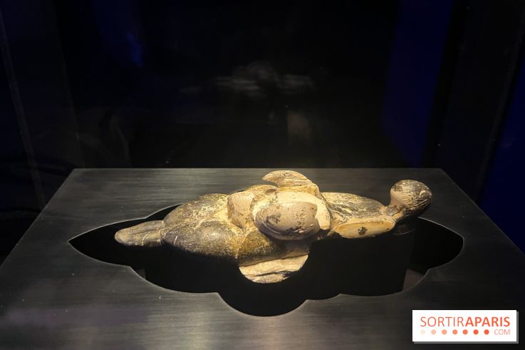 Le musée de l'Homme - collections permanentes - image00042