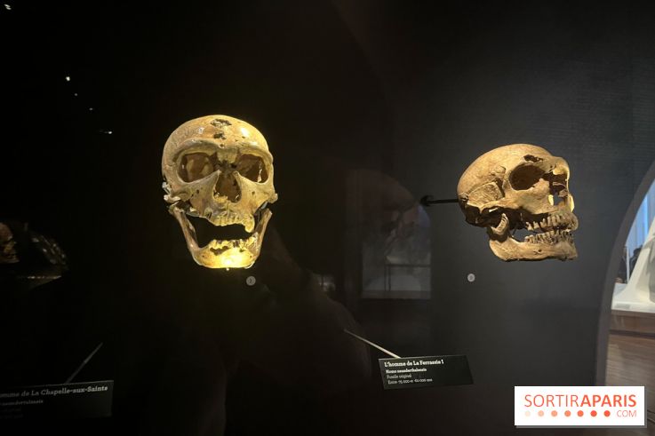 Le musée de l'Homme - collections permanentes
