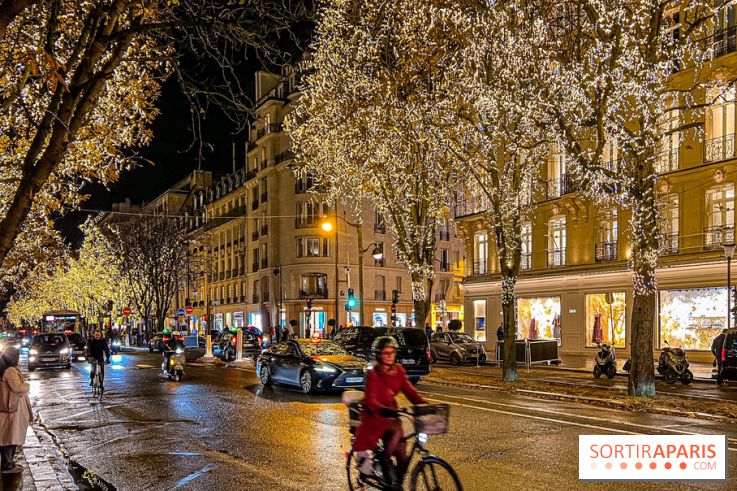 Les illuminations de Noël 2023 de l'Avenue Montaigne - cérémonie et décors féériques - image00063