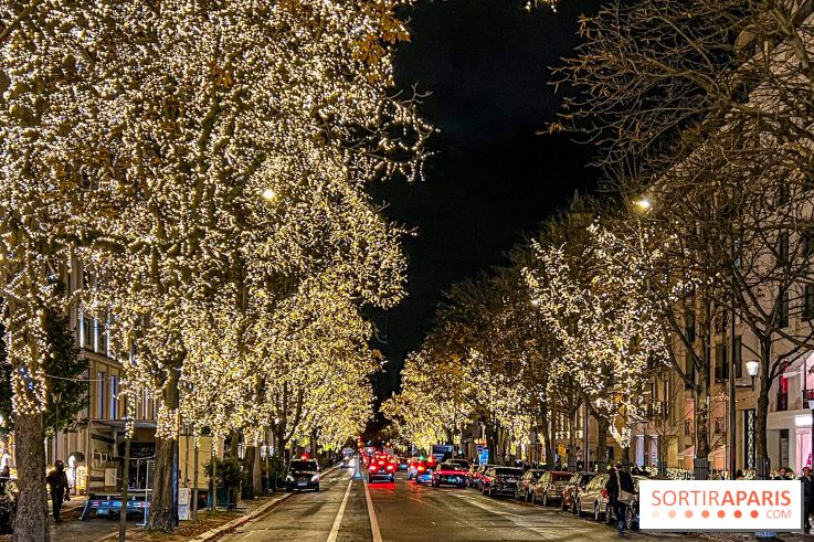 Les illuminations de Noël 2023 de l'Avenue Montaigne - cérémonie et décors féériques