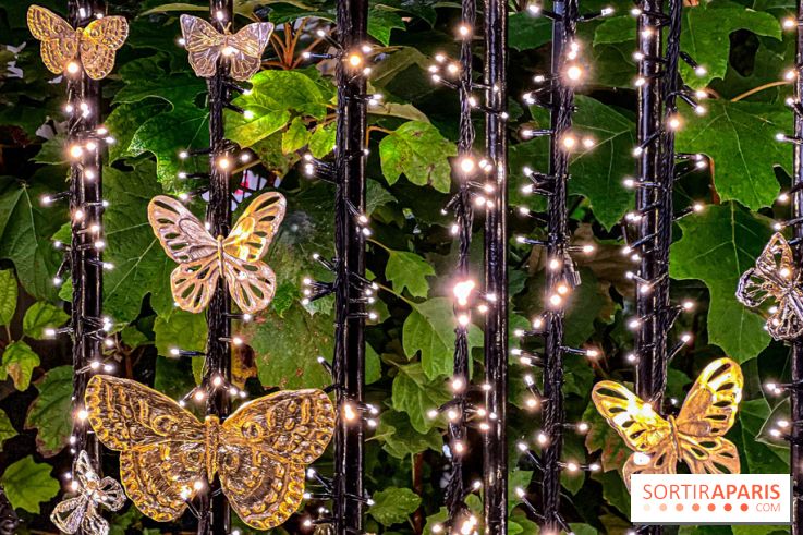 Les illuminations de Noël 2023 de l'Avenue Montaigne - cérémonie et décors féériques - image00070