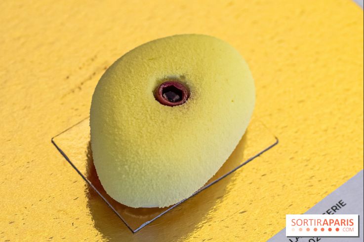 Le Grand Prix de la Pâtisserie de la Ville de Paris 2024 - les photos
