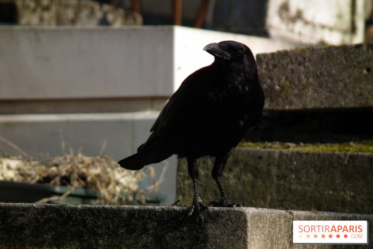 Le Père Lachaise, le cimetière le plus mythique de Paris et ses tombes de personnalités célèbres