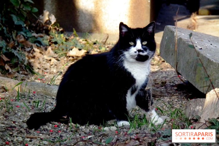Le Père Lachaise, le cimetière le plus mythique de Paris et ses tombes de personnalités célèbres
